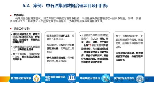 XX集團數(shù)據(jù)治理體系建設(shè)方案 構(gòu)建高效可靠的數(shù)據(jù)處理服務(wù)
